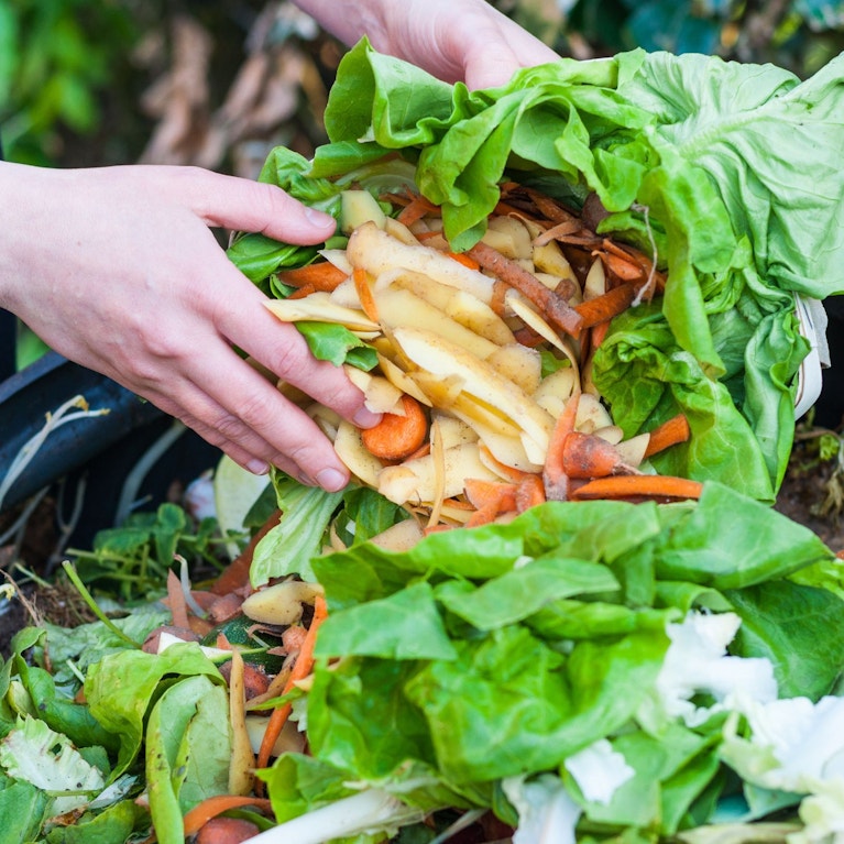 Vegetables and a hand